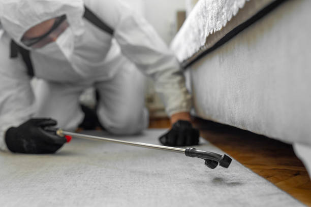 Professional Termite Control technician working in Boynton Beach, FL