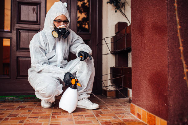 Reliable Termite Control contractor in Boynton Beach, FL by Nex Pest Control